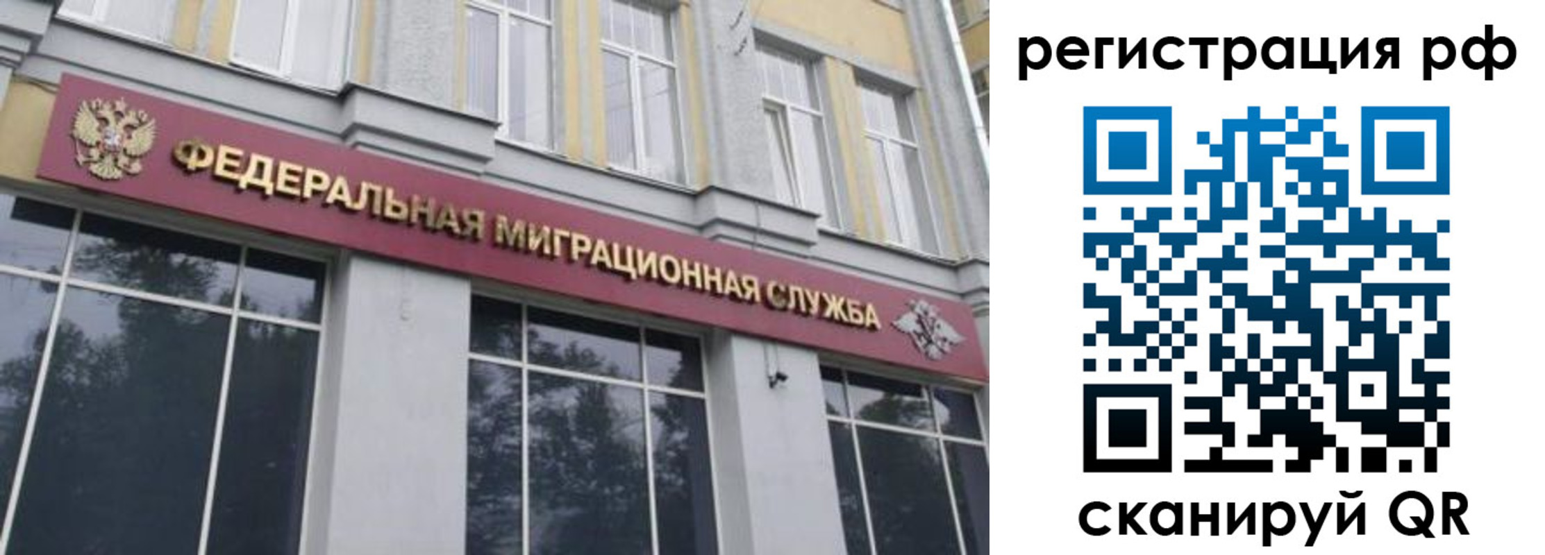 прописка законно в Данкове